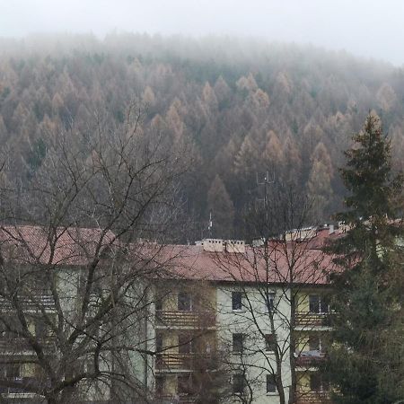 Apartament Wataha Ustrzyki Dolne Zewnętrze zdjęcie