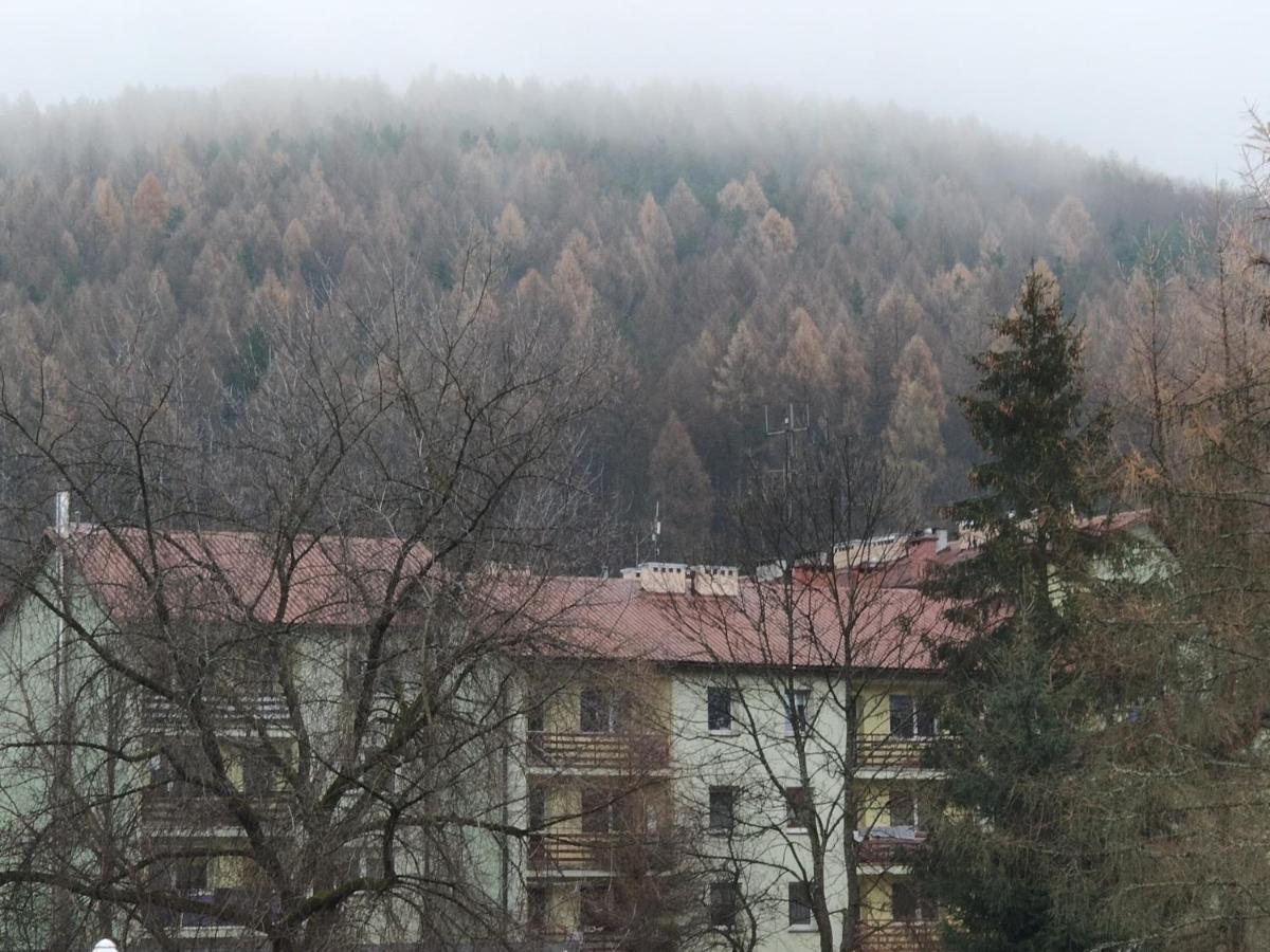 Apartament Wataha Ustrzyki Dolne Zewnętrze zdjęcie